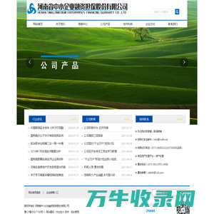 河南省中小企业融资担保股份有限公司